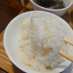 キッチン ブルー グローブ - ご飯が進む