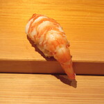 鮨 さかい - 車海老