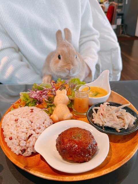 うさぎcafe うさぎカフェ｜大阪市北区中崎町｜昭和レトロな古民家カフェ