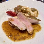 ビステリア サトッロ - 