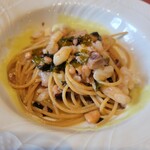 ビステリア サトッロ - 