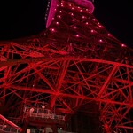 ワカヌイ グリル ダイニング バー 東京 - 