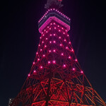 ワカヌイ グリル ダイニング バー 東京 - 