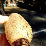 つくば石焼芋 - 手渡しでレンコン頂きました^^;