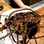 温石 - 元気のいい伊勢海老ちゃん♪