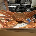 紀尾井町 南かわ - 松葉蟹