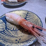 回転寿司 根室花まる メトロエム後楽園店 - 