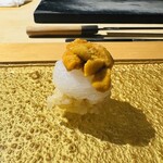 鮨shizuku 西天満 - アオリイカのウニのせ