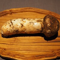 茶禅華 - 