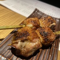 鳥ばか一代 - 