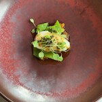 マダム・トキ - 