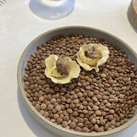 ヴォーロ・コズィ - 
