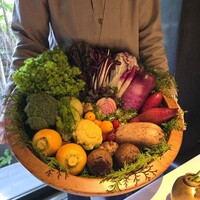 レフェルヴェソンス - 