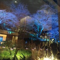 チリエージョ - 竹灯りに照らされた庭園を眺めながら、素敵なディナーとワインに酔いしれた…☺v