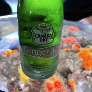 コーラルカフェバー_1