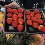 日本酒BAR 四季 - 