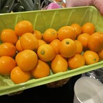 日本酒BAR 四季 - 