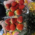 日本酒BAR 四季 - 