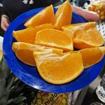 日本酒BAR 四季 - 