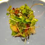 なにわ料理 有 - 