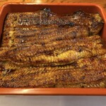 駿河屋 - うな重　ご飯が見えないくらい立派なウナギさん