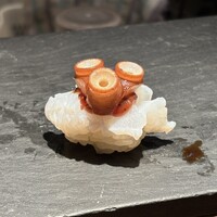 希凛 西店 - 
