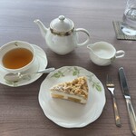 スカイバー カプリコン - 