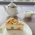 スカイバー カプリコン - 