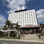 スカイバー カプリコン - 