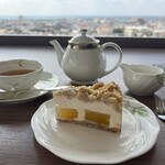 スカイバー カプリコン - 