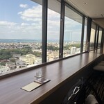 スカイバー カプリコン - 