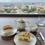 スカイバー カプリコン - 