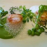 レストラン プランデルブ北鎌倉 - 前菜のホタテのポワレとグリンピースのクーリ