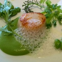 レストラン プランデルブ北鎌倉 - 泡泡は白ワイン(*^^*)