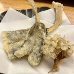 酒肴 こだるま - 