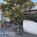 トラットリア ラウライタリコ - 