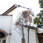 グルービー - 店舗