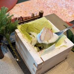 青山 星のなる木 - 