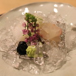 桜田 - お造り　鯛 と 烏賊　(2014/06)