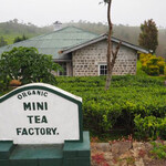 Heritance Tea Factory - 
