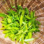 Heritance Tea Factory - 