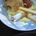 愛南 市場食堂 - キビナゴ