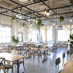 SALLY TABLE - メイン写真: