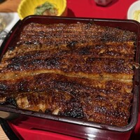 炭焼 うな富士 有楽町店 - 