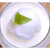 トラットリア イル レガーロ - ランチメニューの食後のデザート、塩ミルクのパンナコッタのレモンシャーベットのせ。