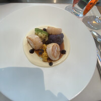Benoit Alain Ducasse - 