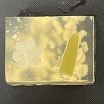 一幸庵 - 2025.02.13 (木)