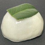 一幸庵 - 2025.02.13 (木)    椿もち　486円（税込）