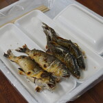 滋賀県南郷水産センター - 
