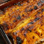 うなぎ 魚政 - 国産ブランド鰻 特大